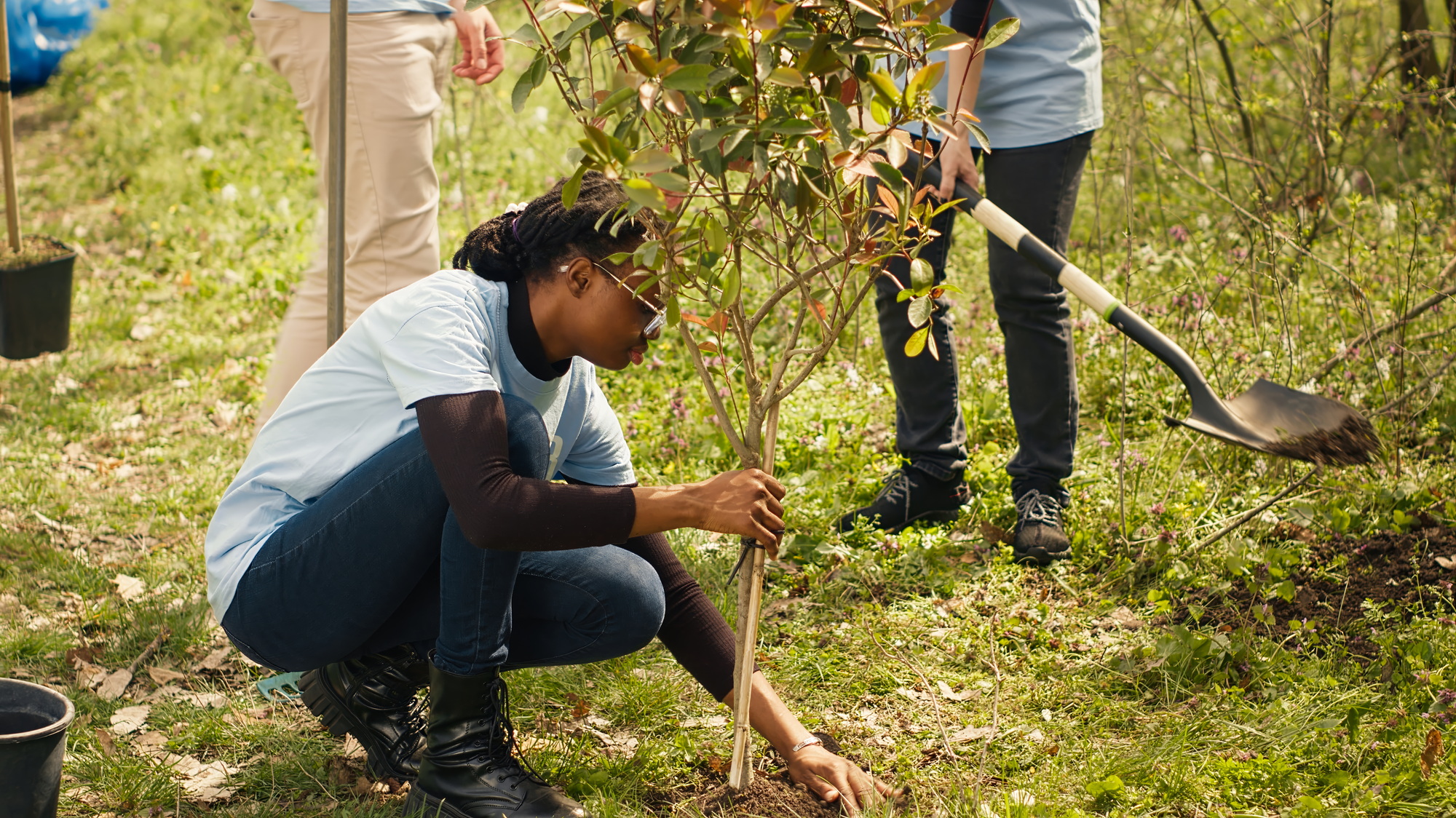 Diverse climate change activists work to plant trees in the woods